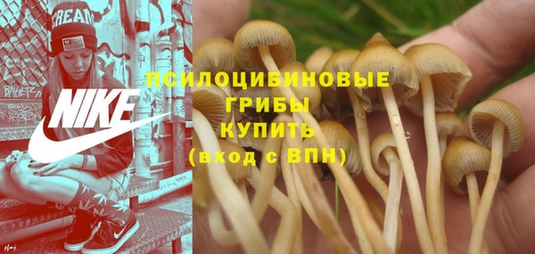 соль курить ск Арсеньев