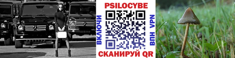 закладки  Балабаново  Галлюциногенные грибы мицелий 
