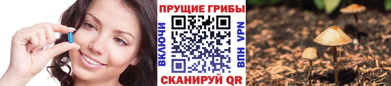 Псилоцибиновые грибы ЛСД Балабаново