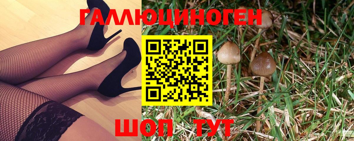 Балабаново  Галлюциногенные грибы прущие грибы  Вход с VPN  Псилоцибиновые грибы прущие грибы 