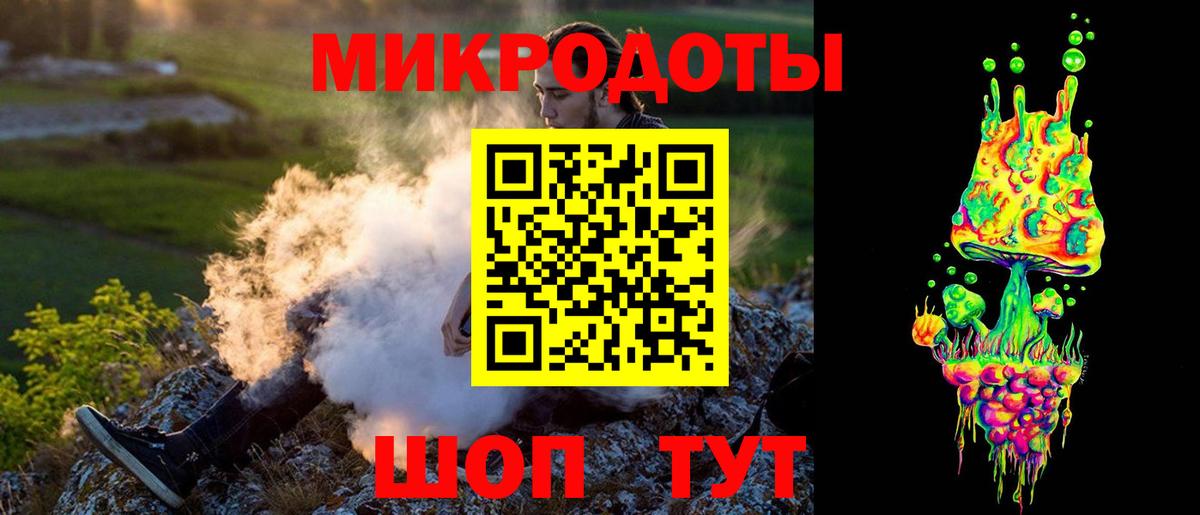 Галлюциногенные грибы Psilocybe Балабаново